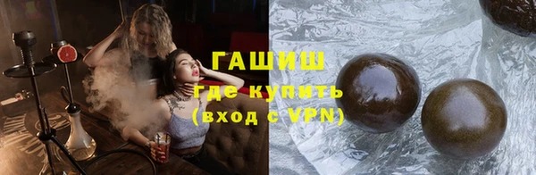 дживик Бородино