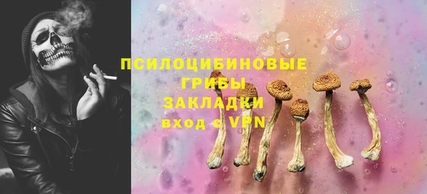 дмт Струнино