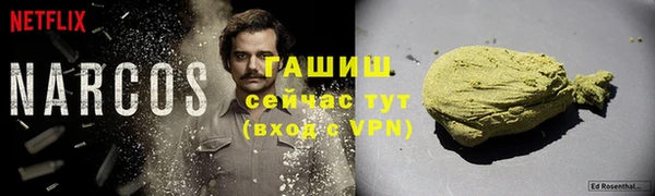 дживик Бородино