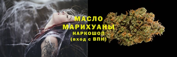 дживик Бородино