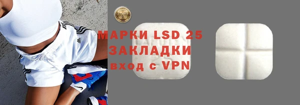 дживик Бородино