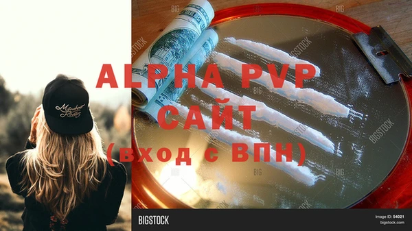 дживик Бородино