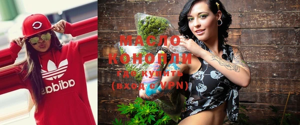 дживик Бородино