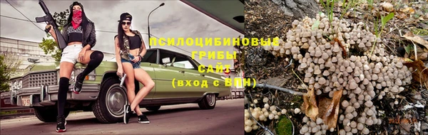 дживик Бородино