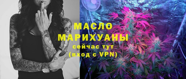 дживик Бородино
