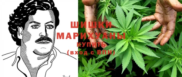 дживик Бородино
