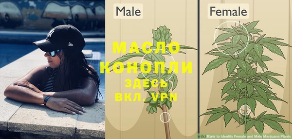 дмт Струнино
