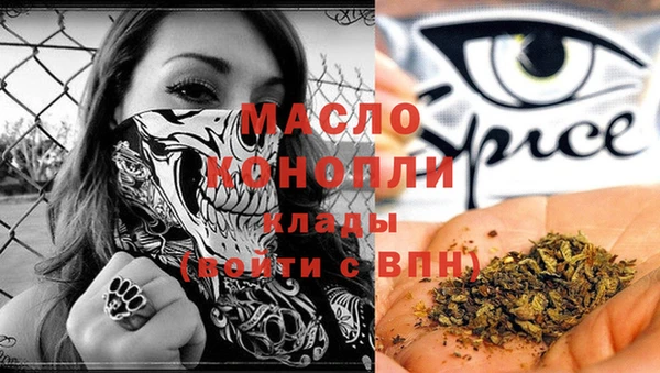 дживик Бородино